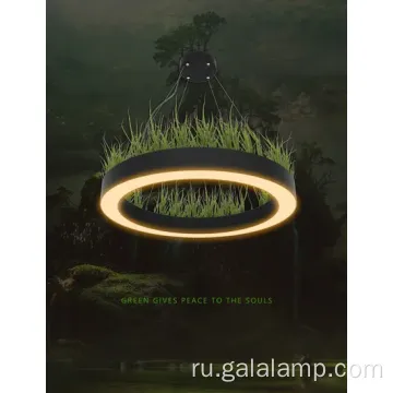 Главный современный светодиодный кольцо подвес